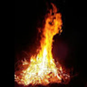 Meet your Posher, Nik